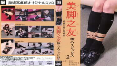 美脚之友 紺ハイソックス2